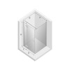 New Trendy Reflexa EXK-1237 / EXK-0007 90x100x200 1 / L ( без поддона)