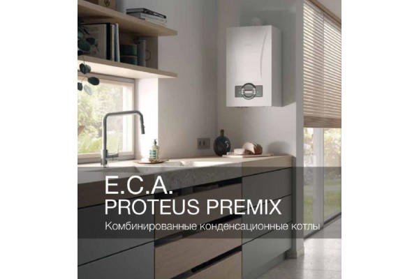 E.C.A. Proteus Premix 30 kw